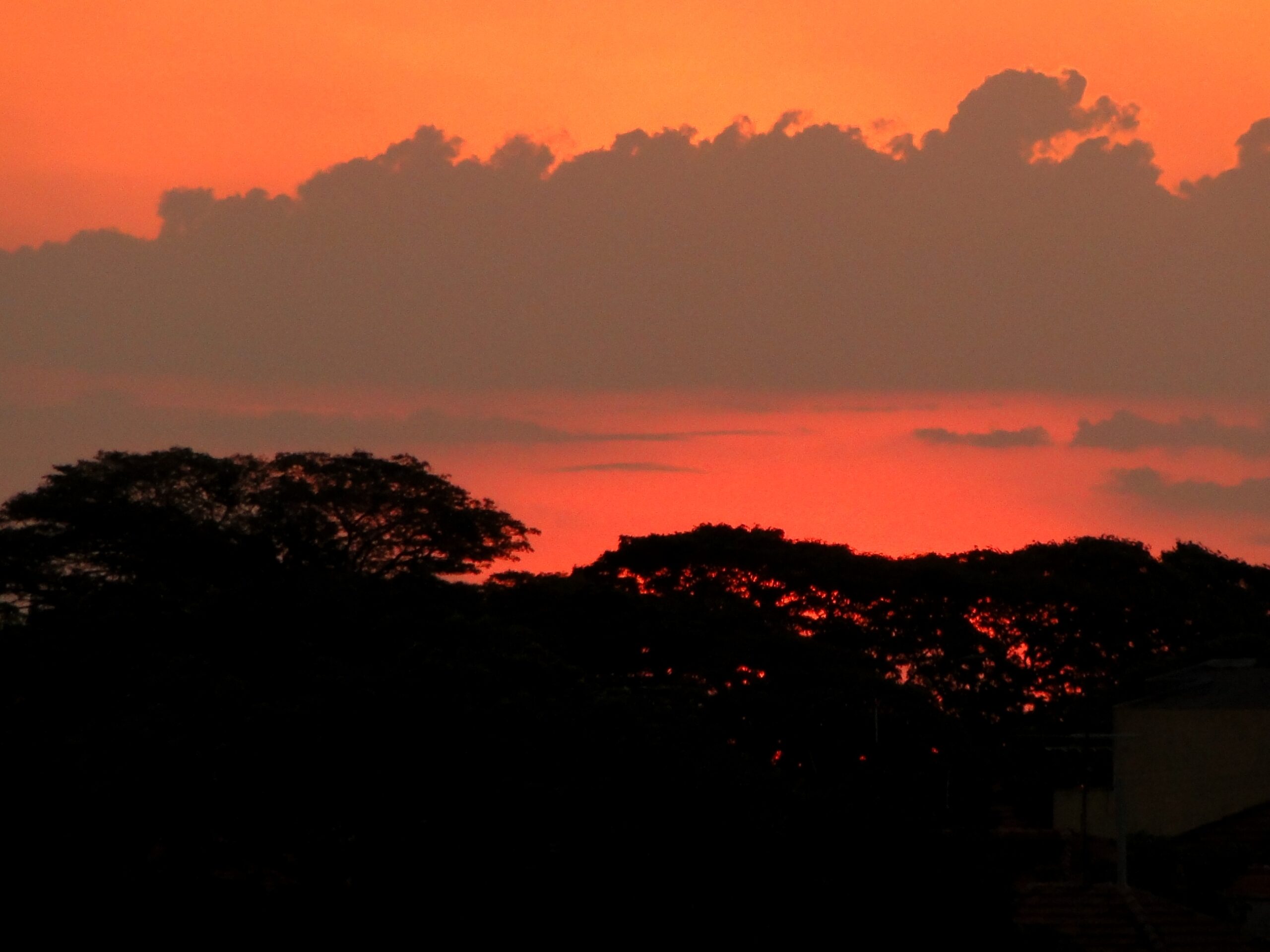 Ferreira Gullar – Reflexão