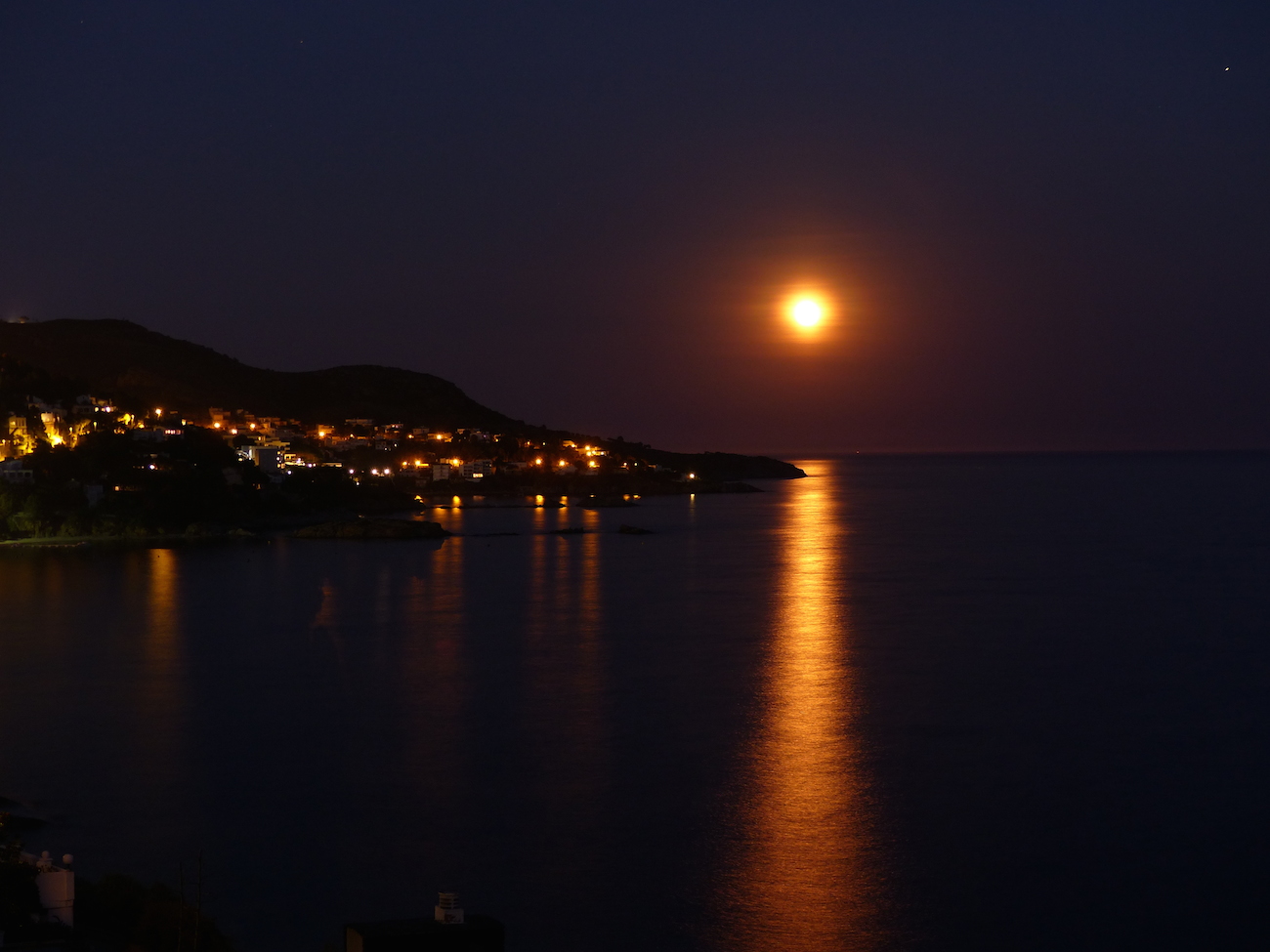 Joan Margarit – Por que fomos covardes