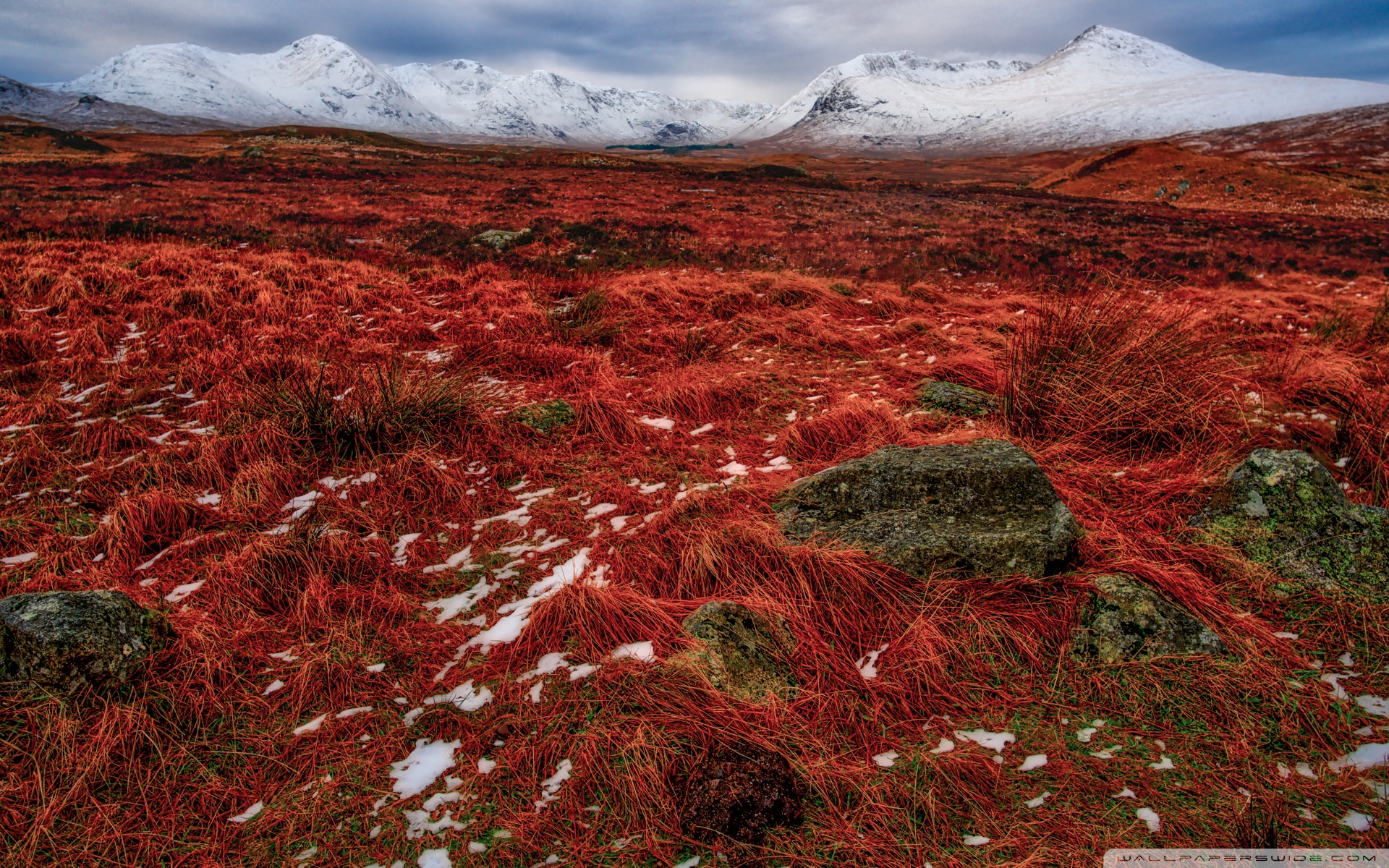 Luis Cernuda – Os espinhos