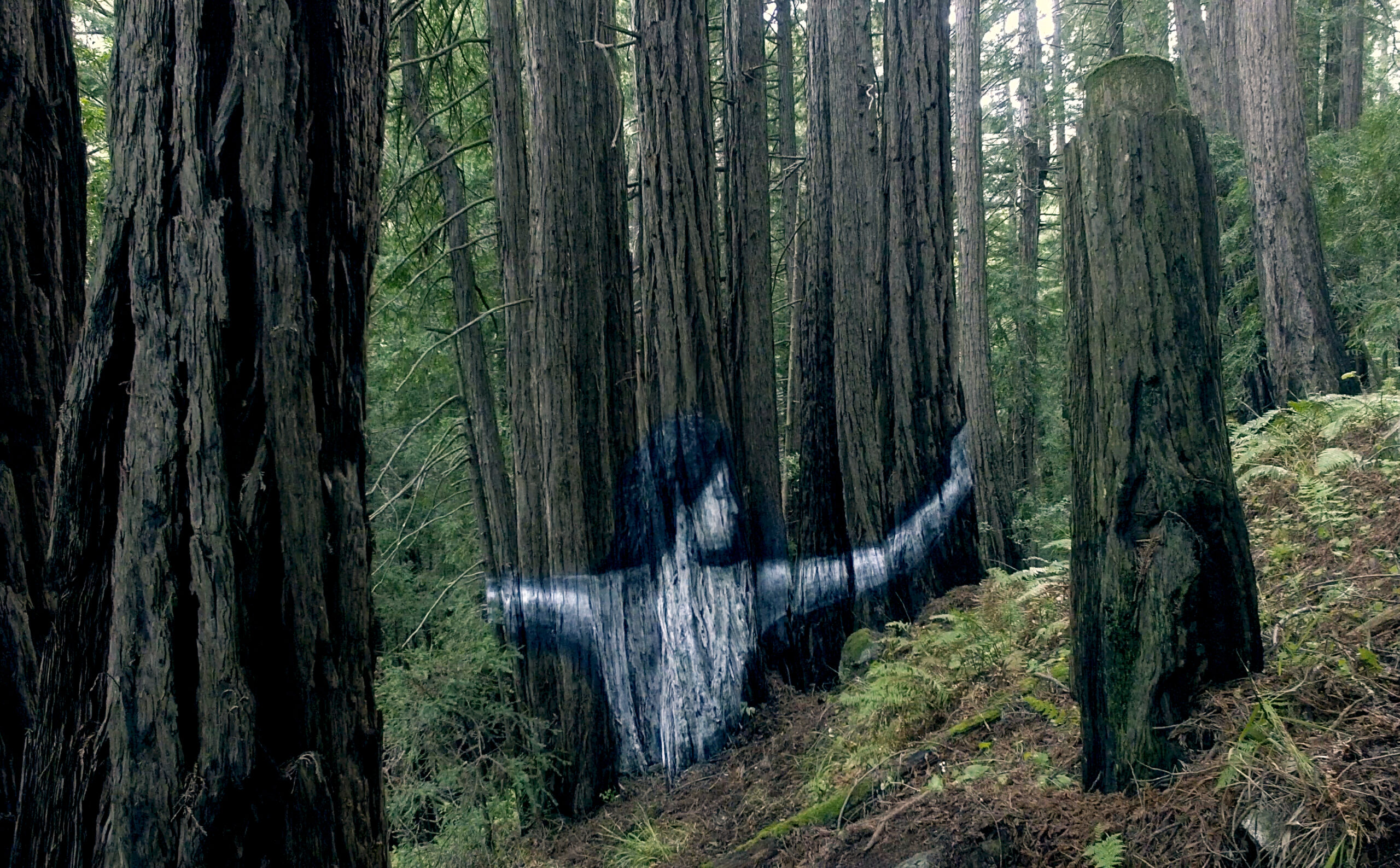 Théodore Fraenckel – Meditação do fim de Agosto