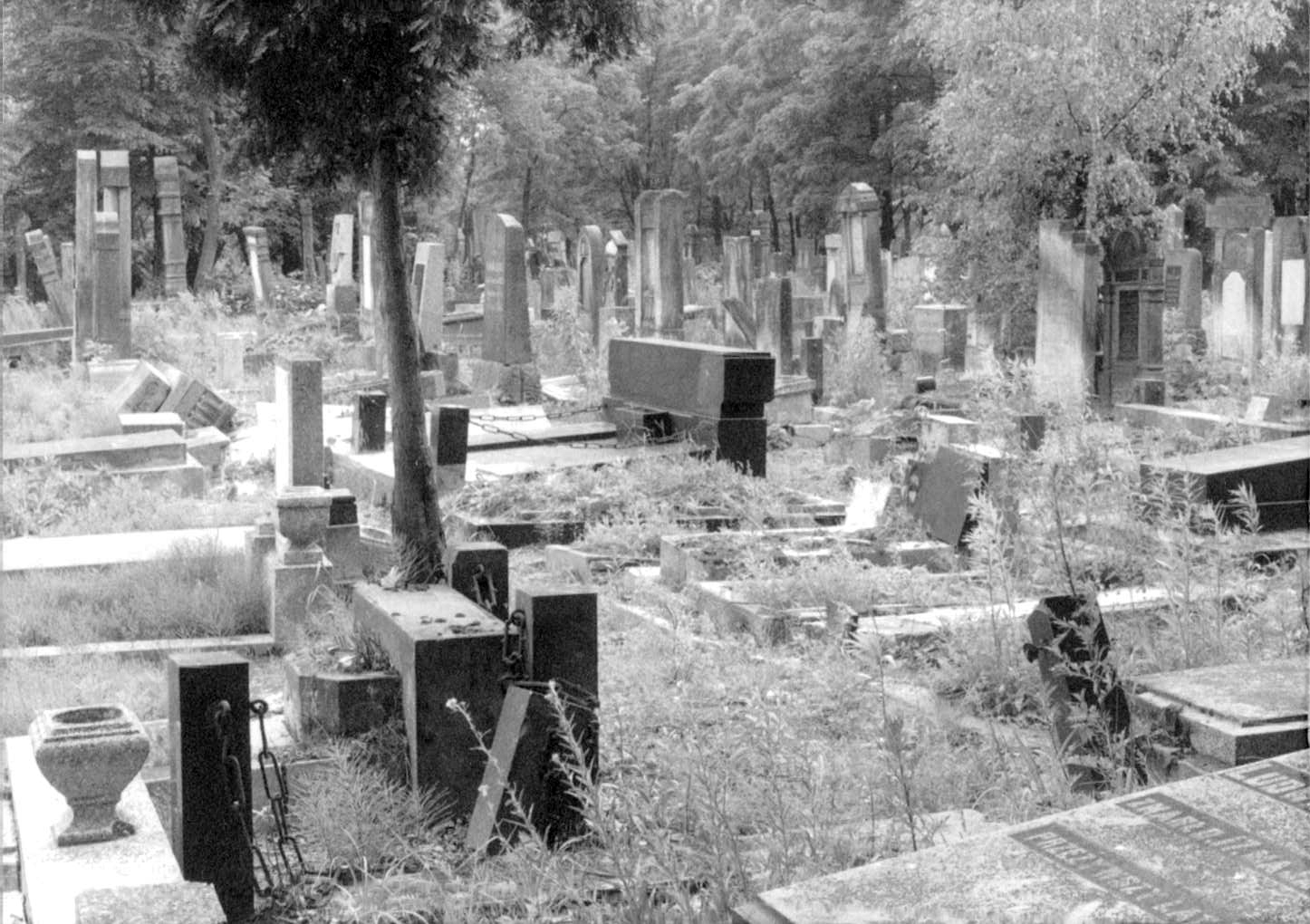 Wislawa Szymborska – Bagagem de volta