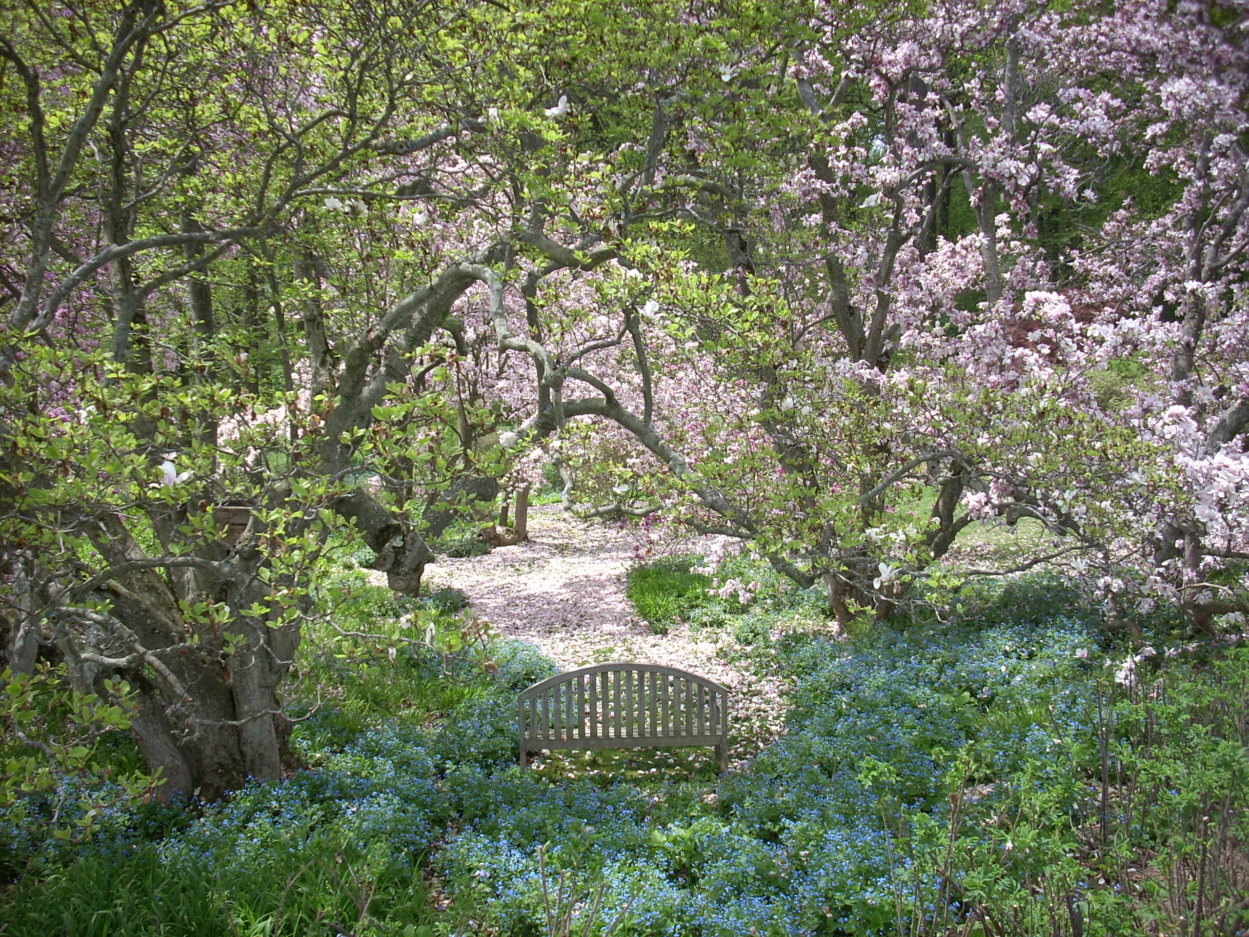 Louise Glück – Matinas (5)