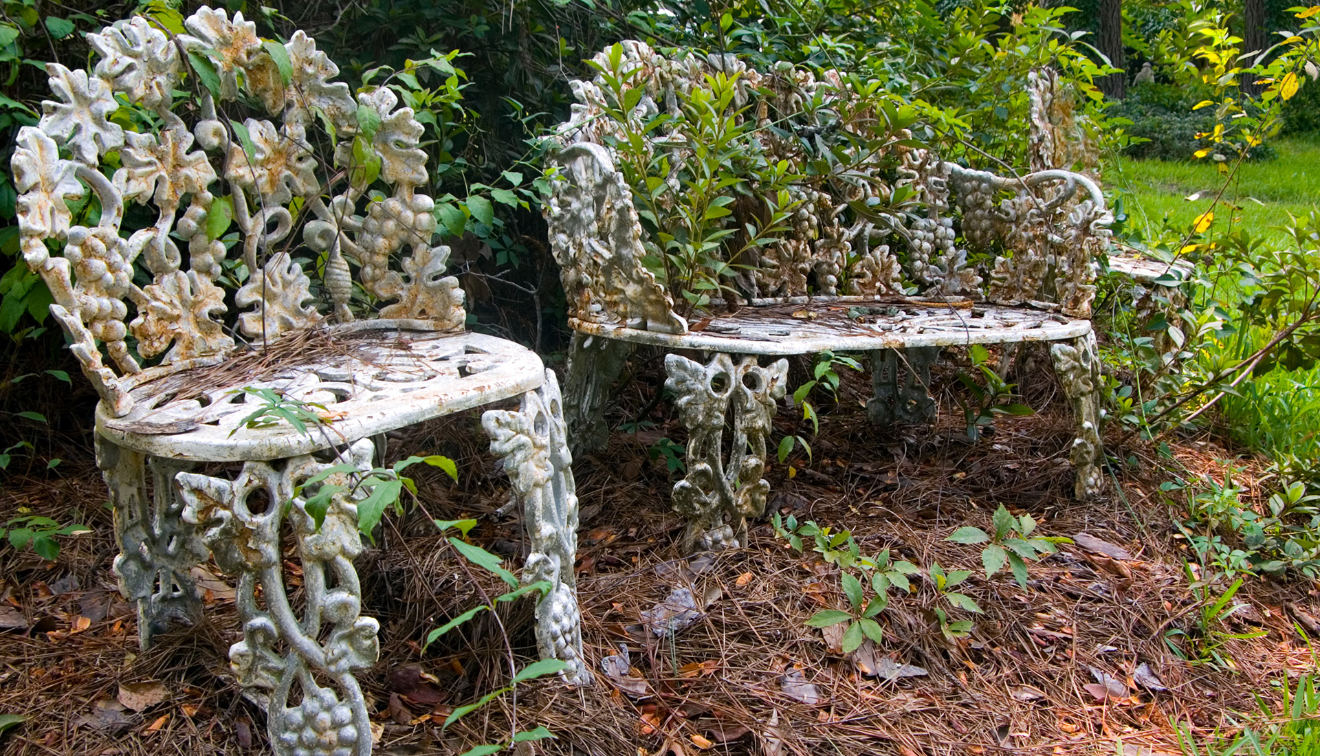 Louise Glück – Vésperas: Parousia