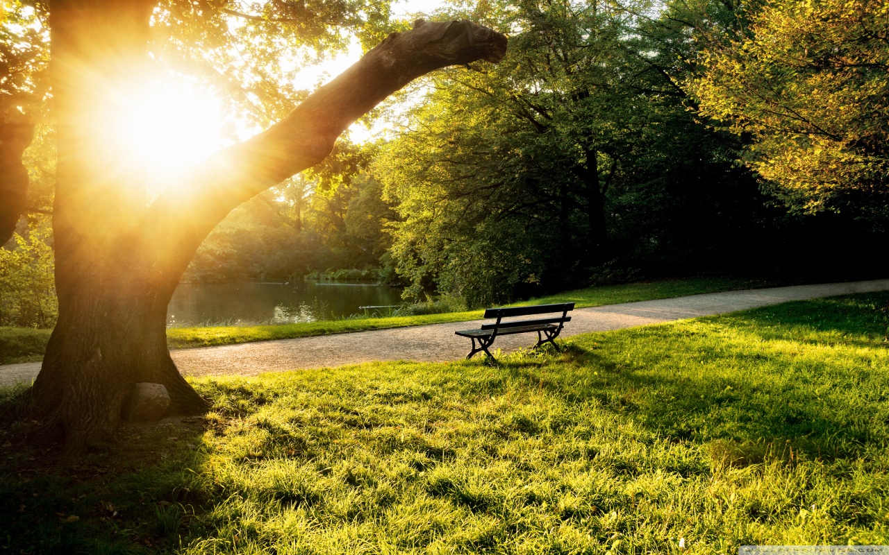 Louise Glück – Matinas (7)