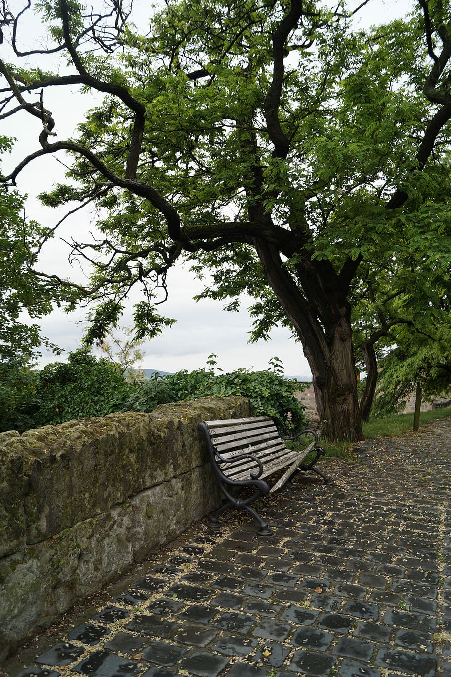Louise Glück – Vésperas (9)