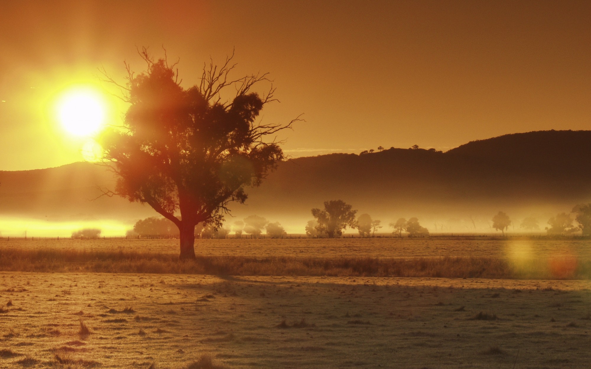 Ivan Junqueira – Vésperas