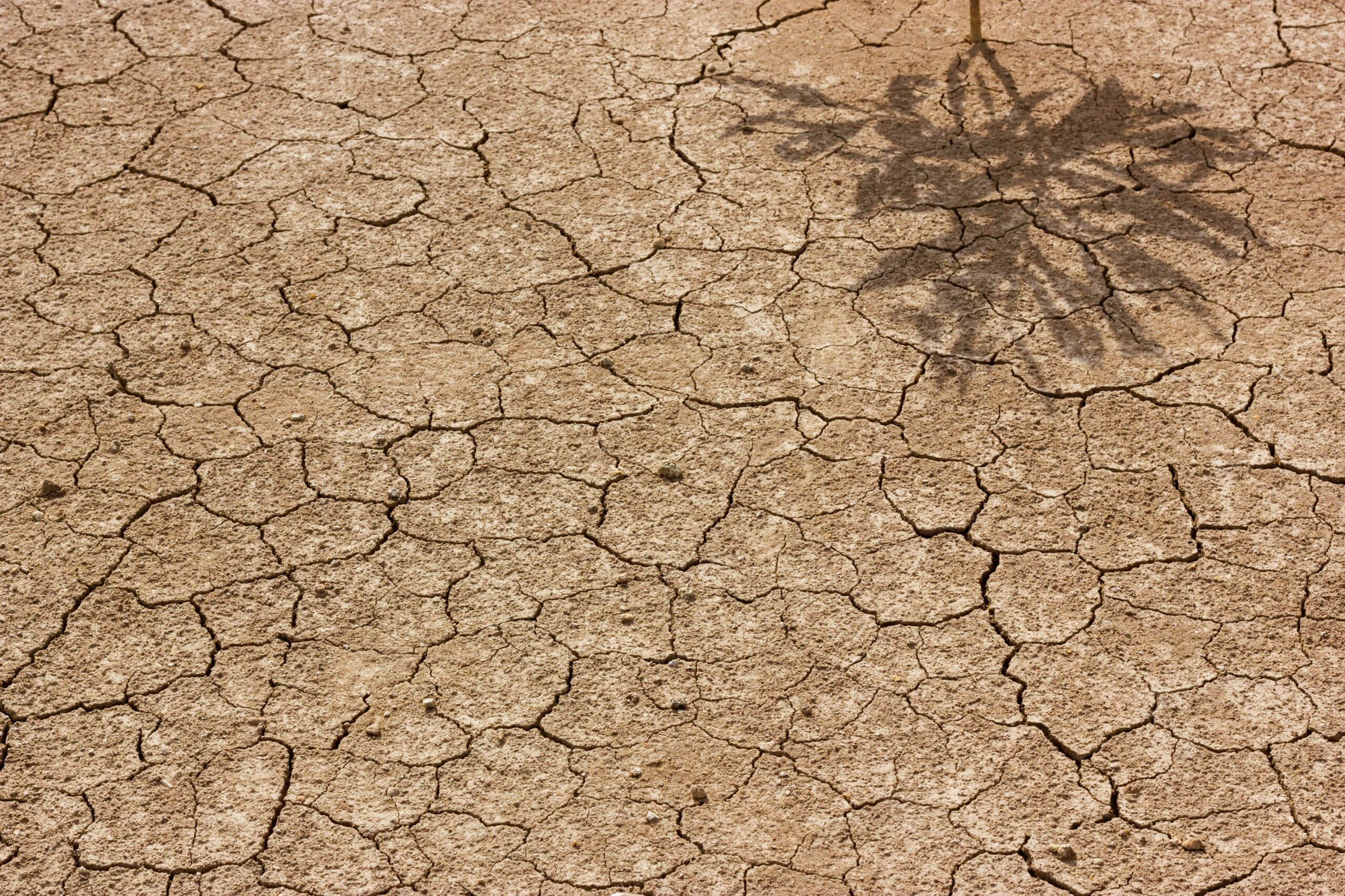 T. S. Eliot – A Terra Desolada