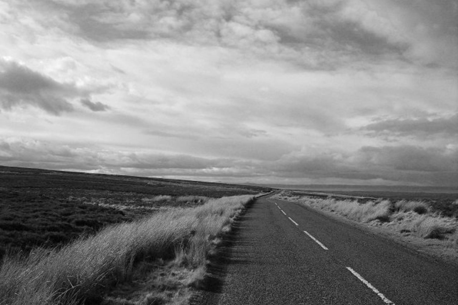 Dan Fante – [Agora que eu já escrevi]