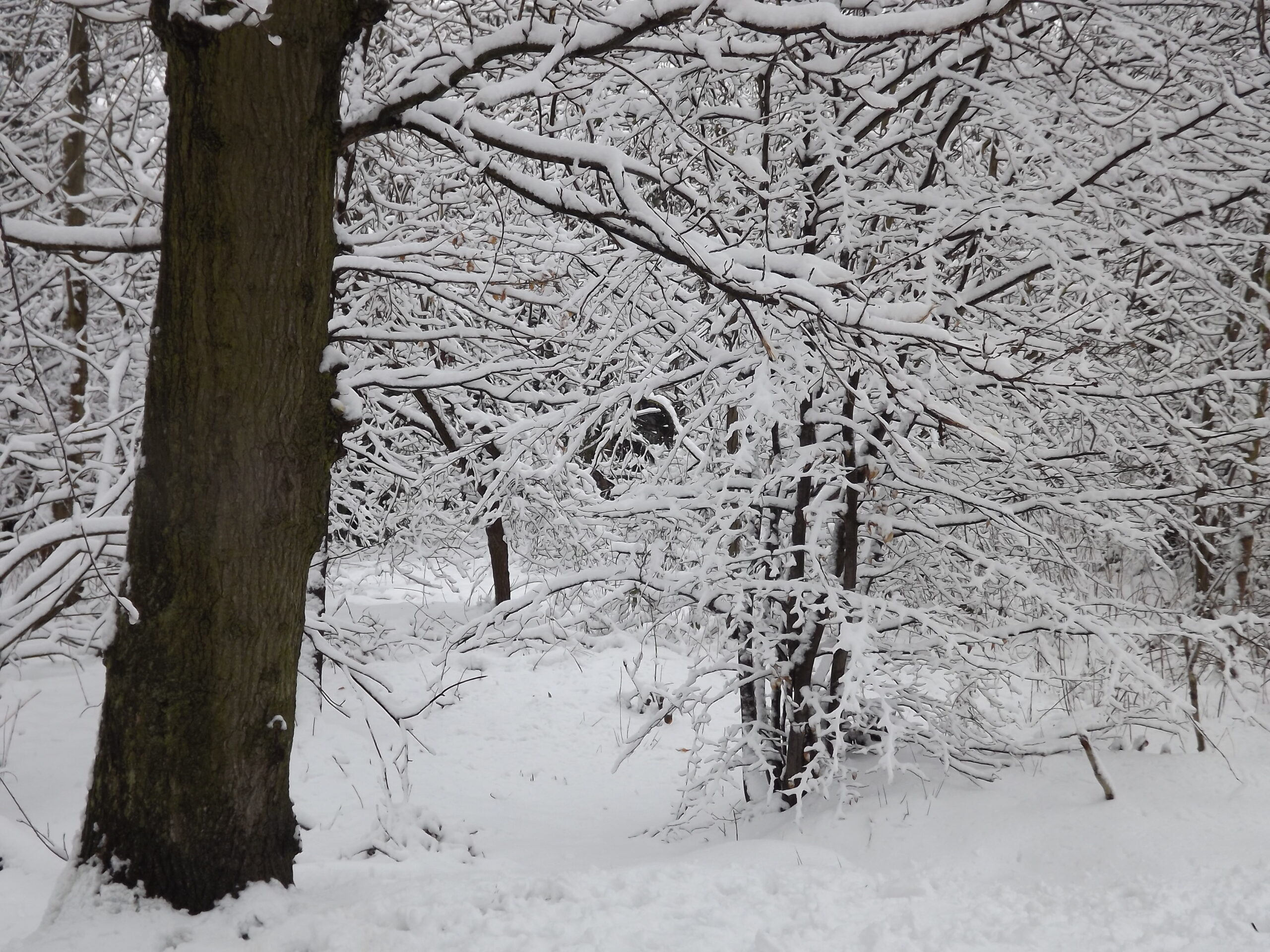 Alberto Szpunberg – De “Sol de noche”