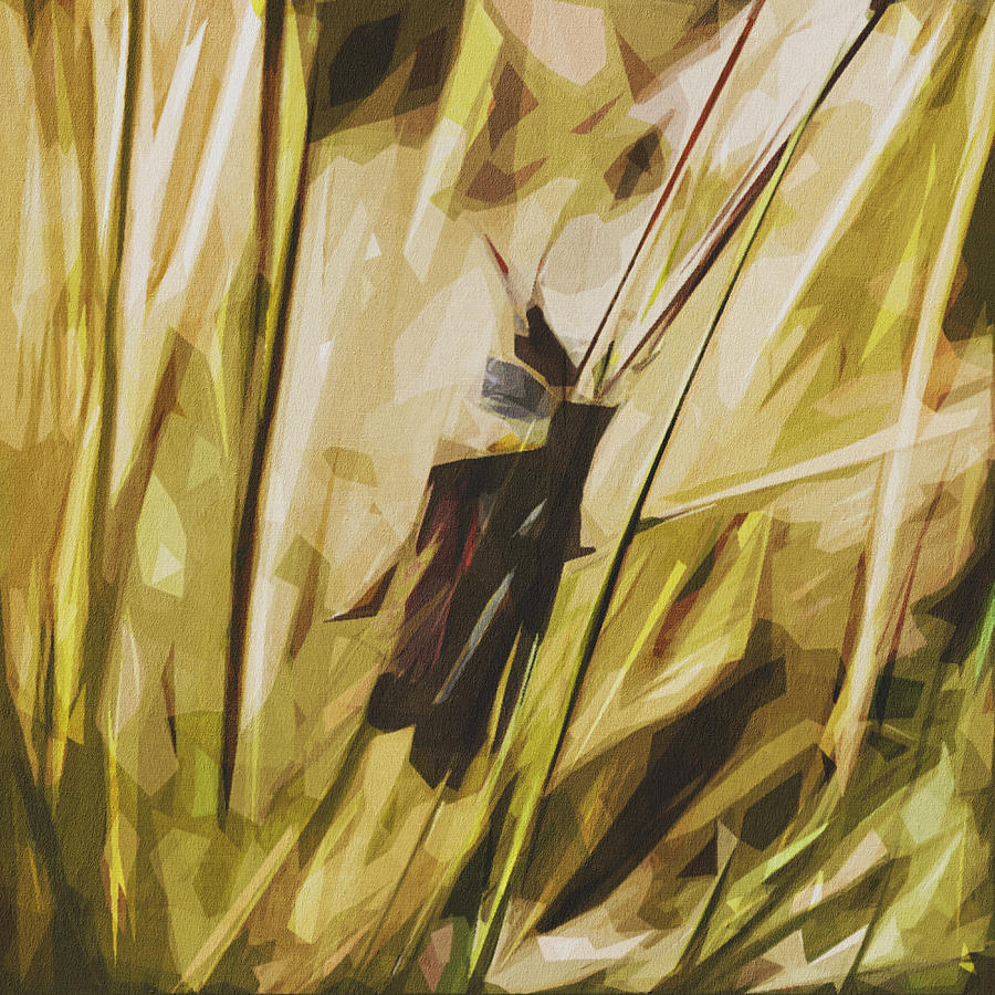 Mary Oliver – O dia de verão