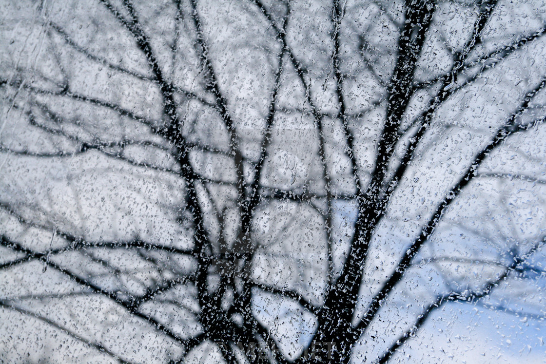 Jane Kenyon – A tigela azul