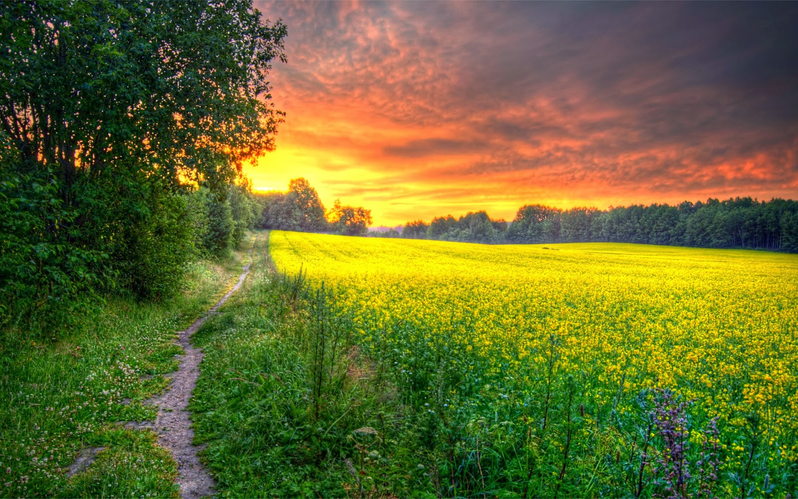 William Stafford – No monumento não-nacional ao longo da fronteira canadense