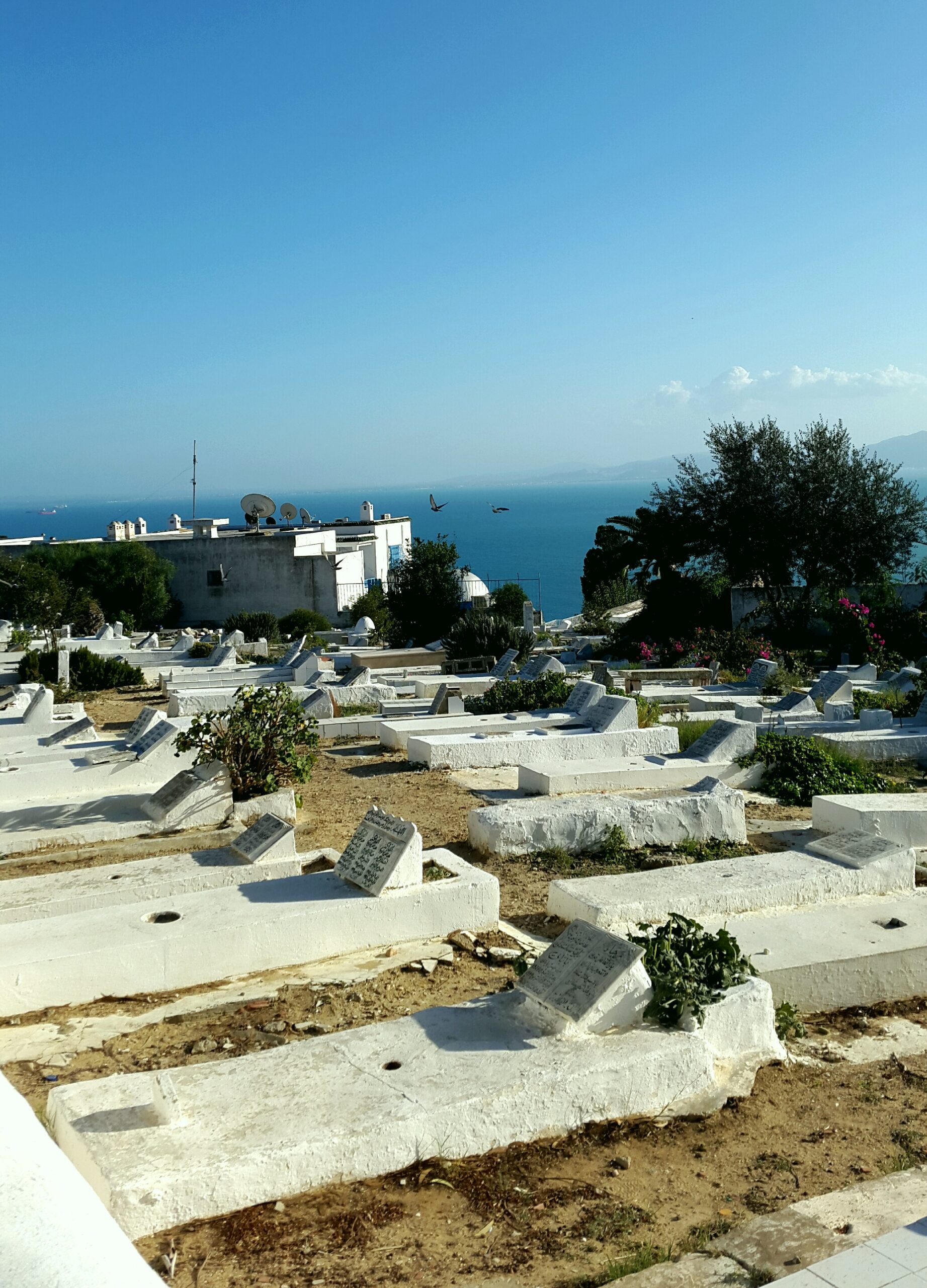 Vinicius de Moraes – Cemitério Marinho