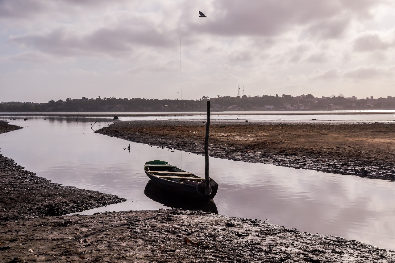 Ferreira Gullar – Poema sujo