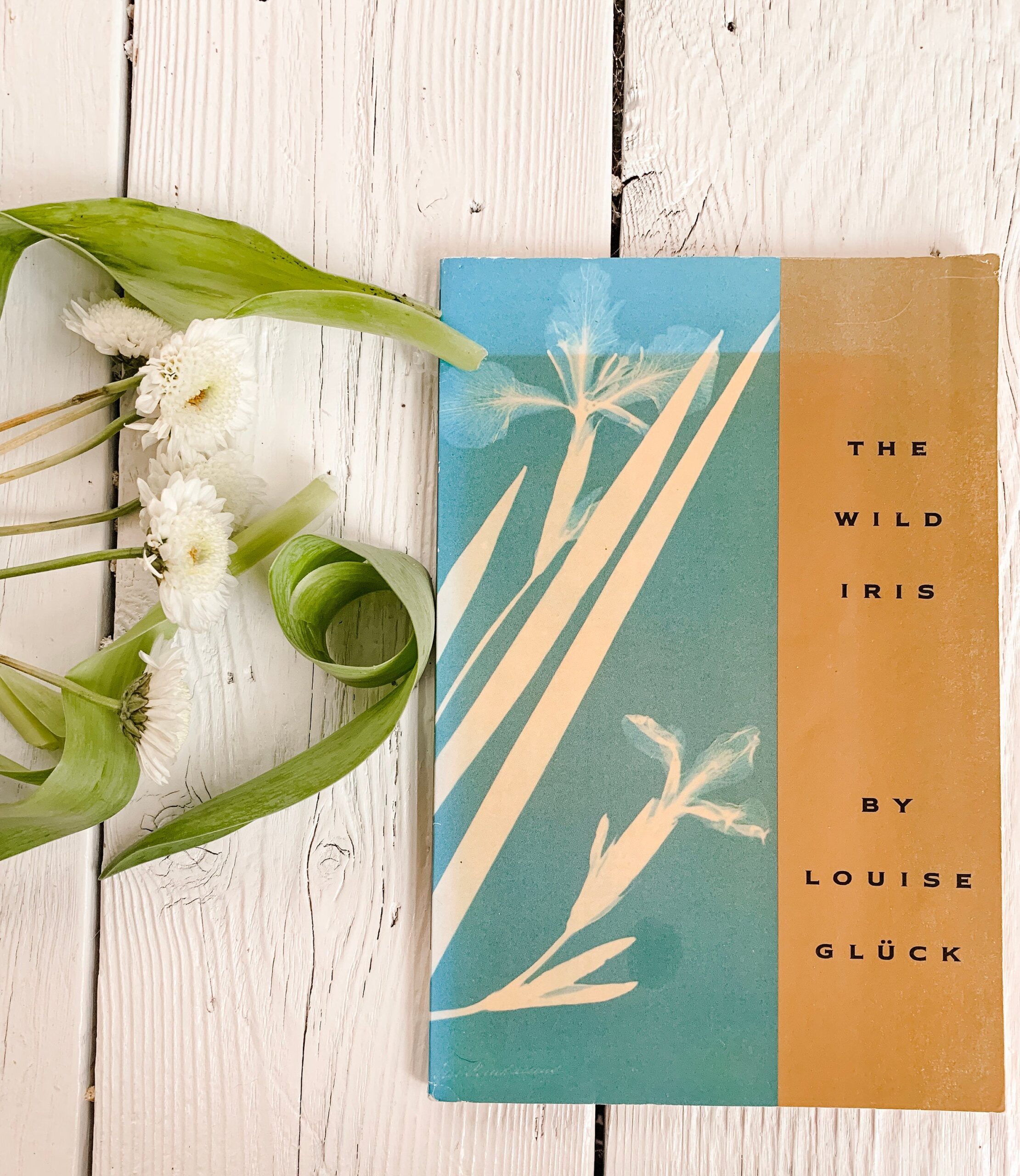 Apresentação de “The Wild Iris”, de Louise Glück