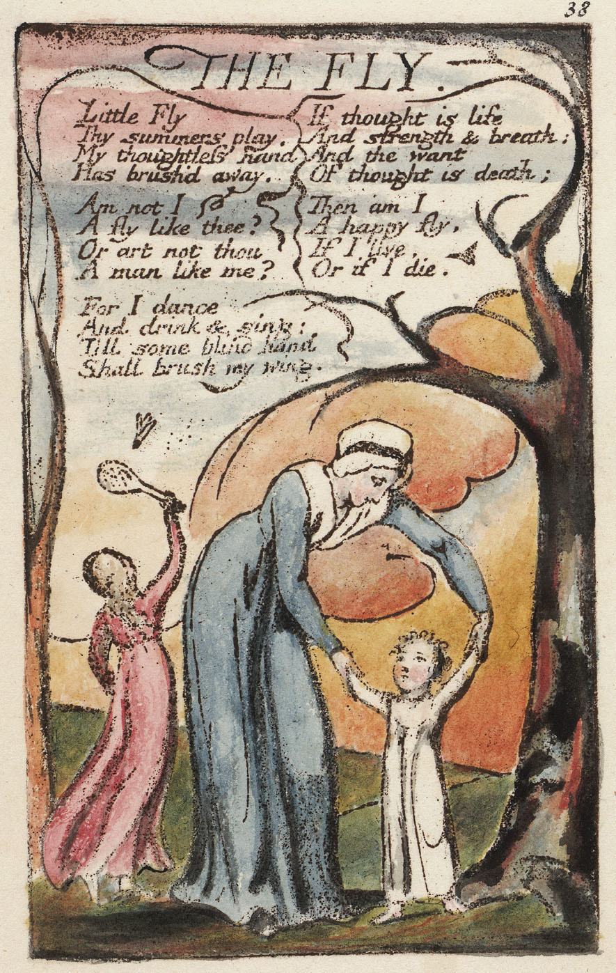 William Blake – A mosca