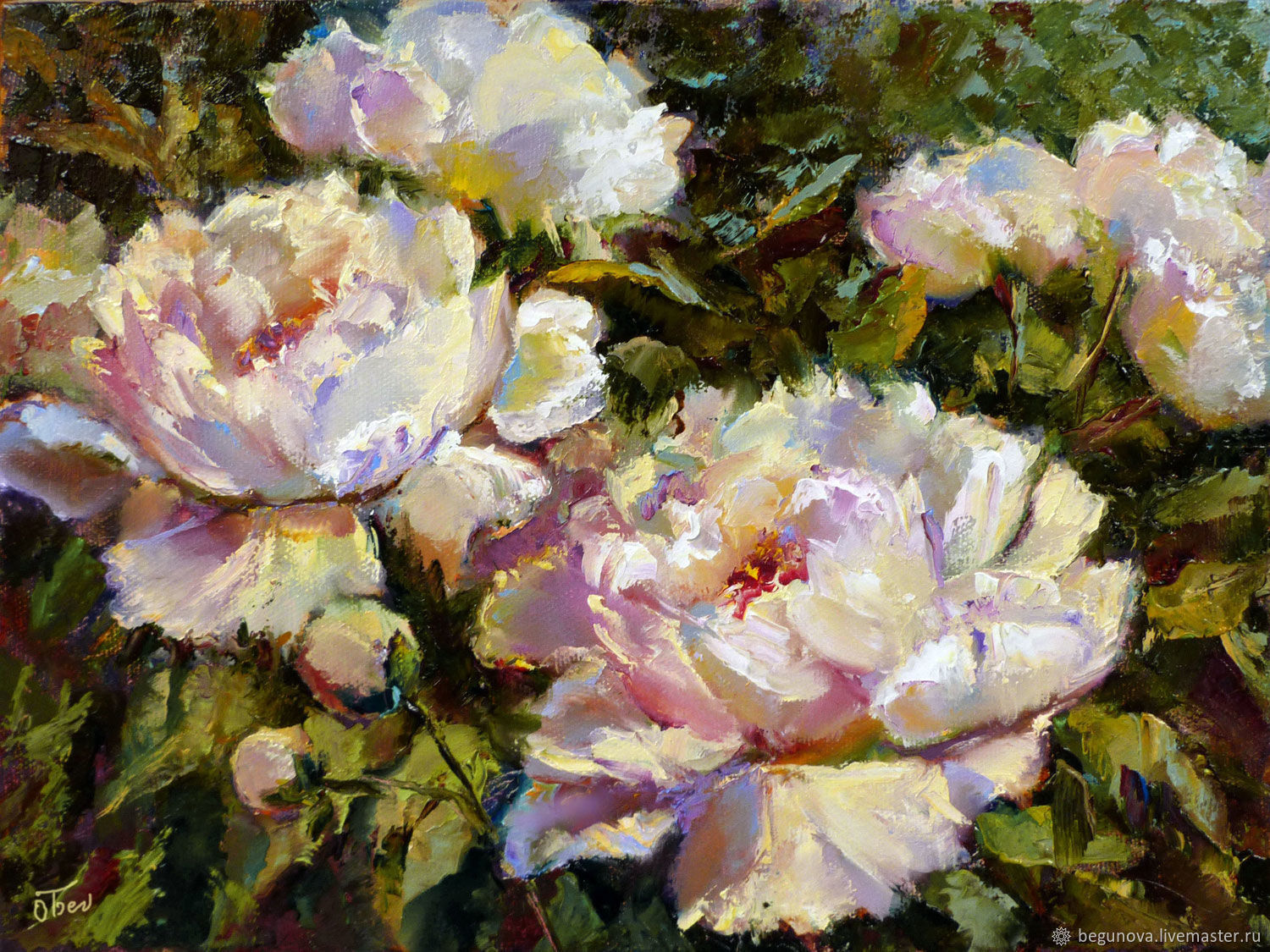 Mark Wunderlich – Peônias