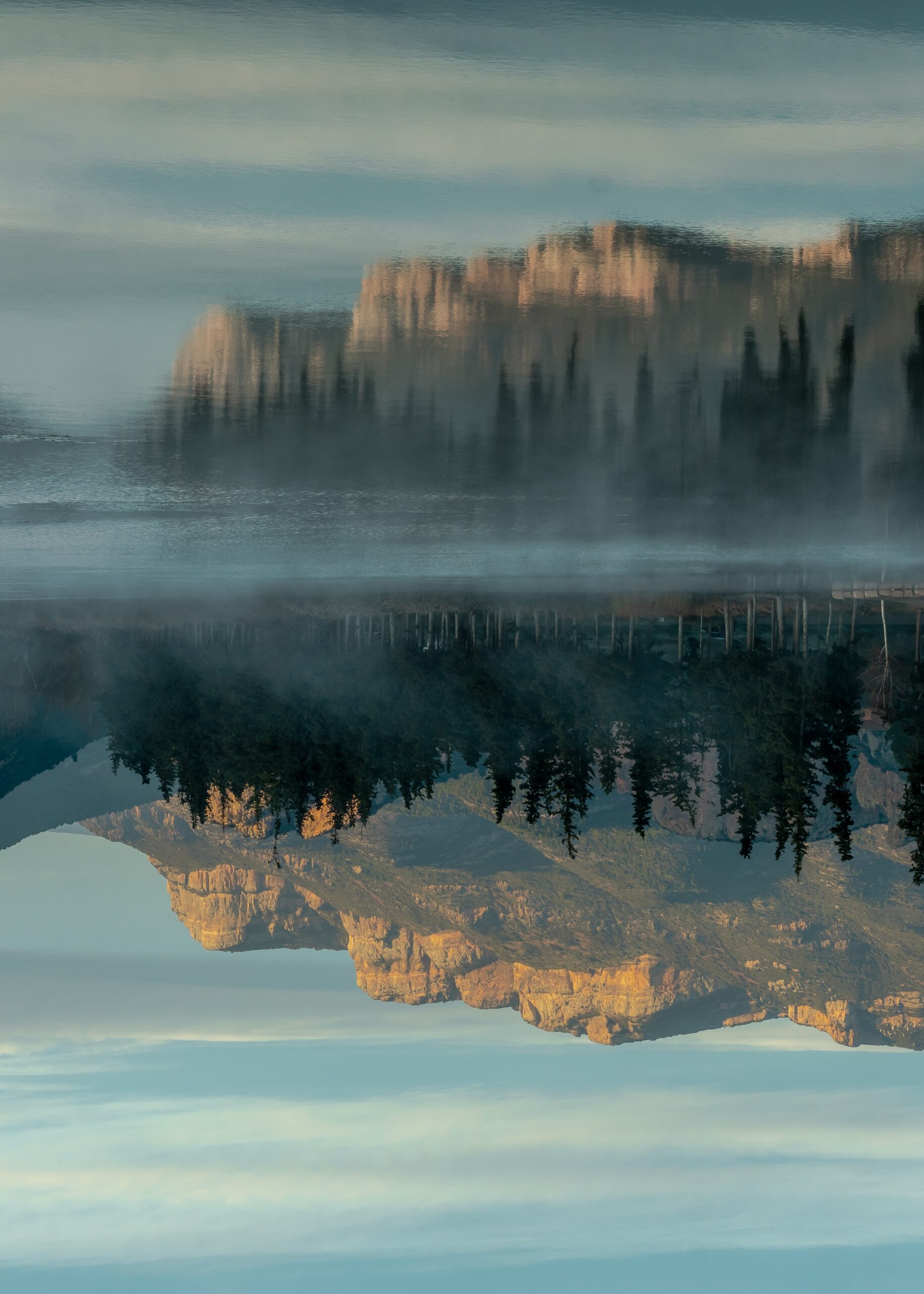 Mary Oliver – O véu