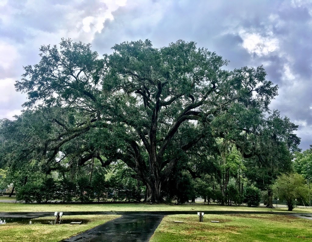 Jane Routh — Um lugar