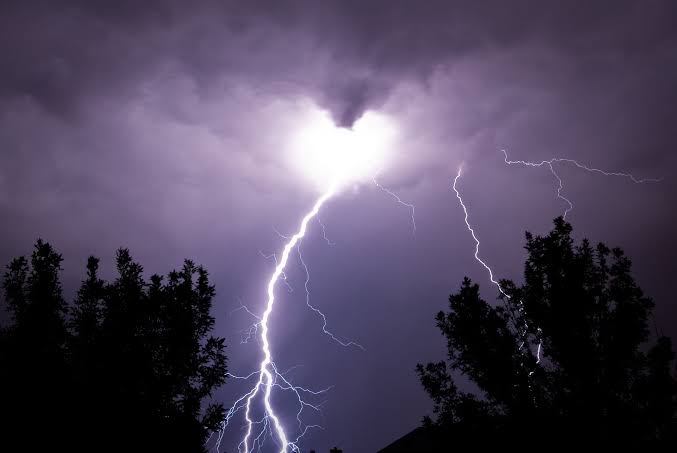 Ana Martins Marques – Relâmpagos