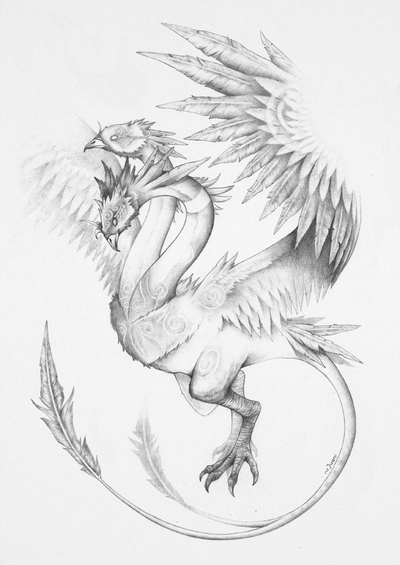 Dan Gerber – Frequentemente, imagino a terra