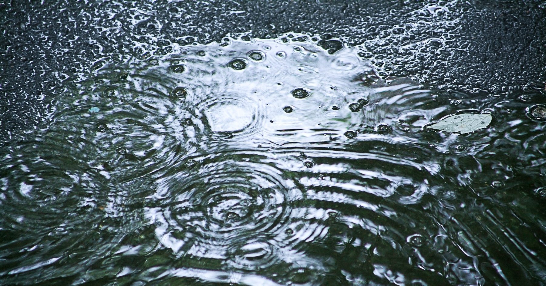 Joan Margarit – Não há milagres