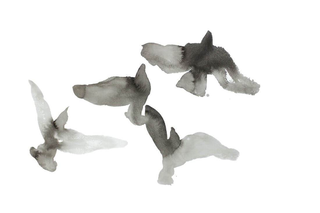 Joan Margarit – Quadro com pássaros