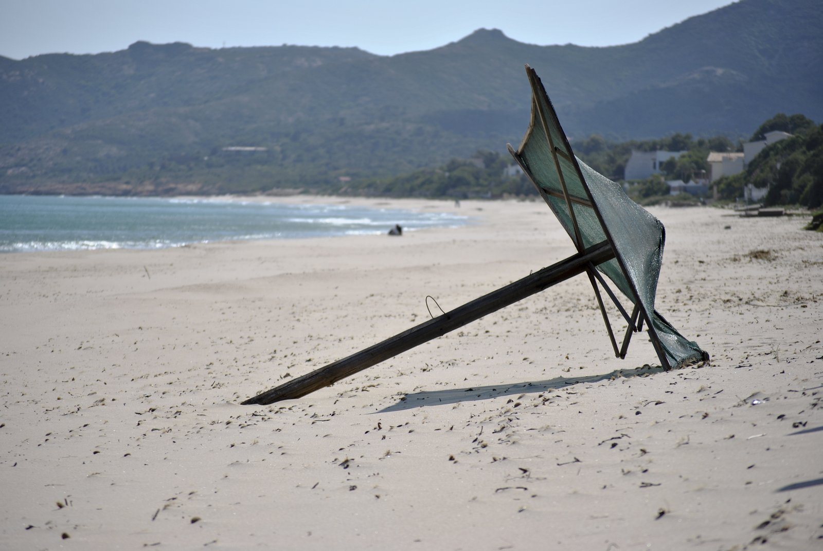 Joan Margarit – A felicidade