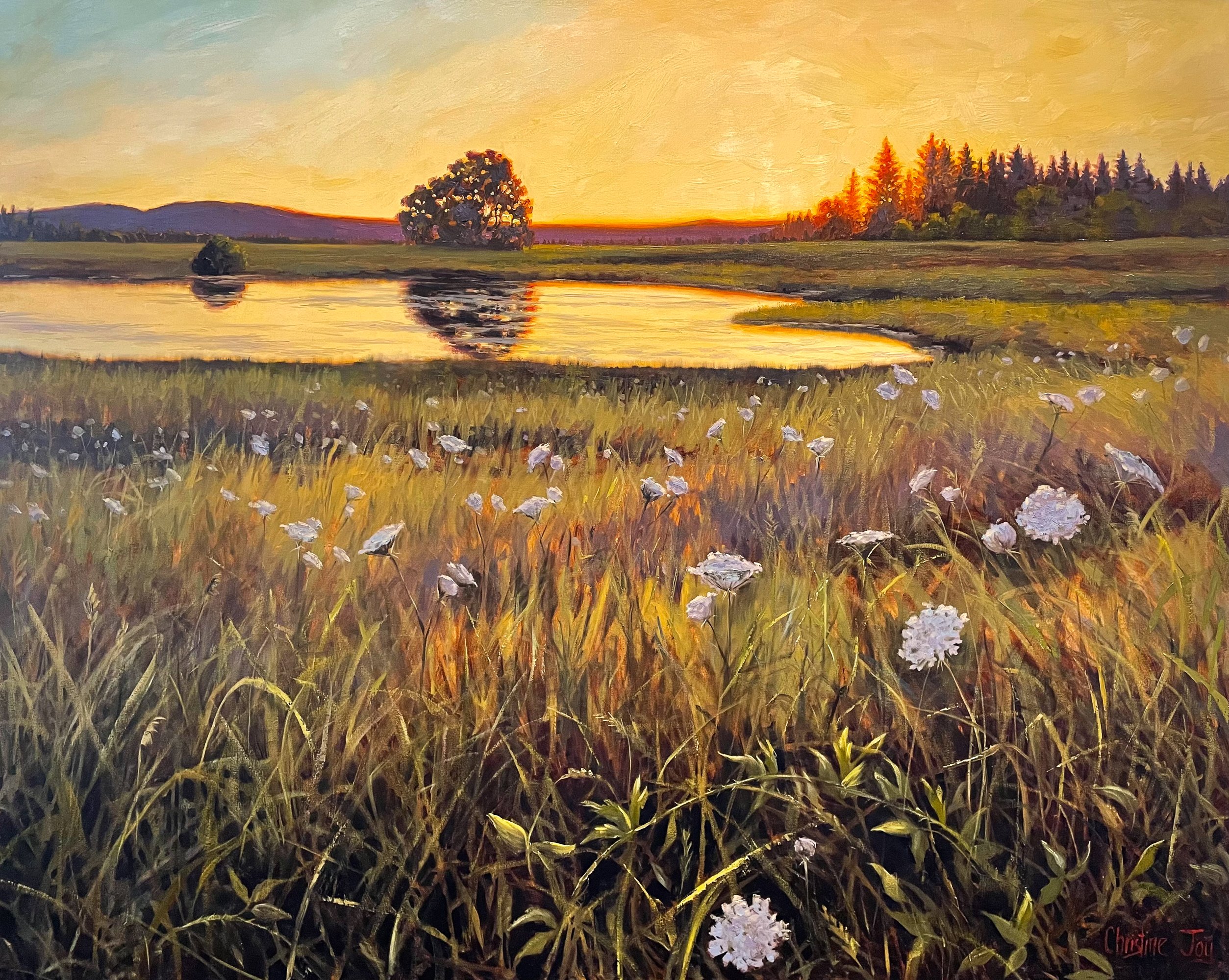 Jane Hirshfield – Um dia é vasto