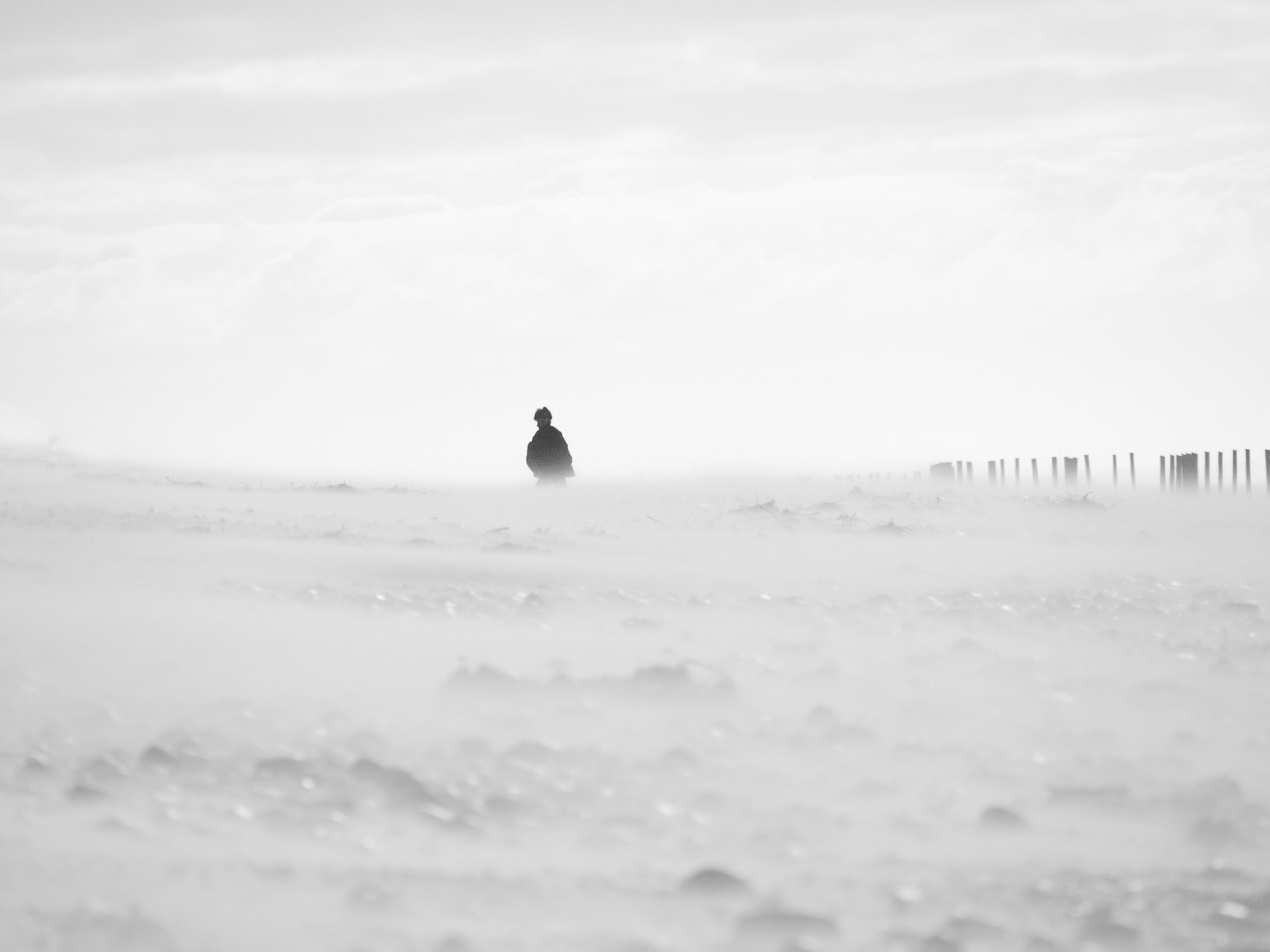 Robin Myers – O retorno