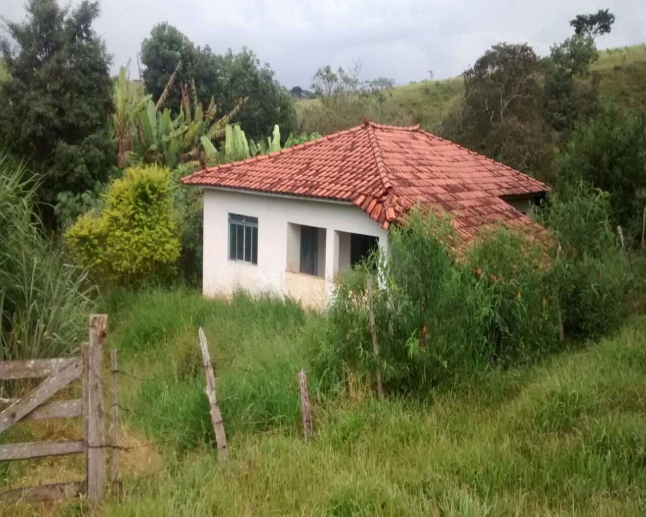 Donizete Galvão – Ruminações