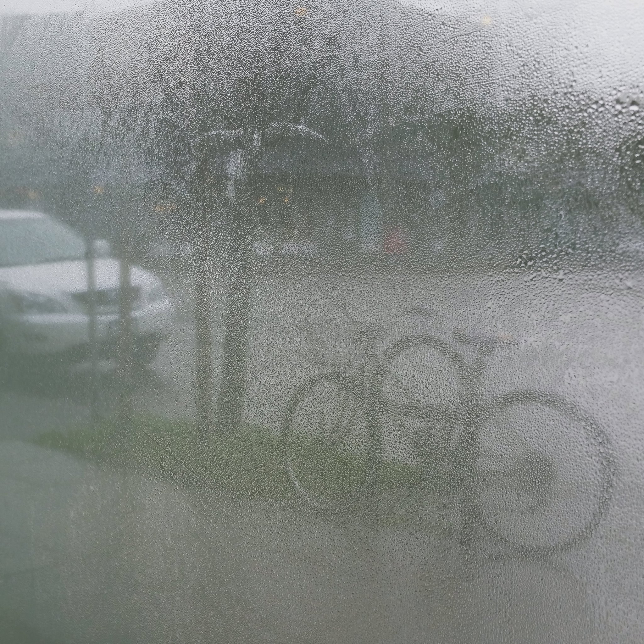 Ted Kooser – Luz das estrelas