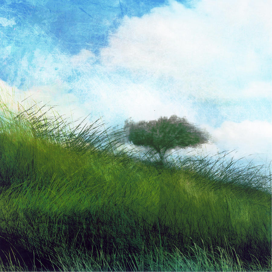 R. S. Thomas – O campo brilhante