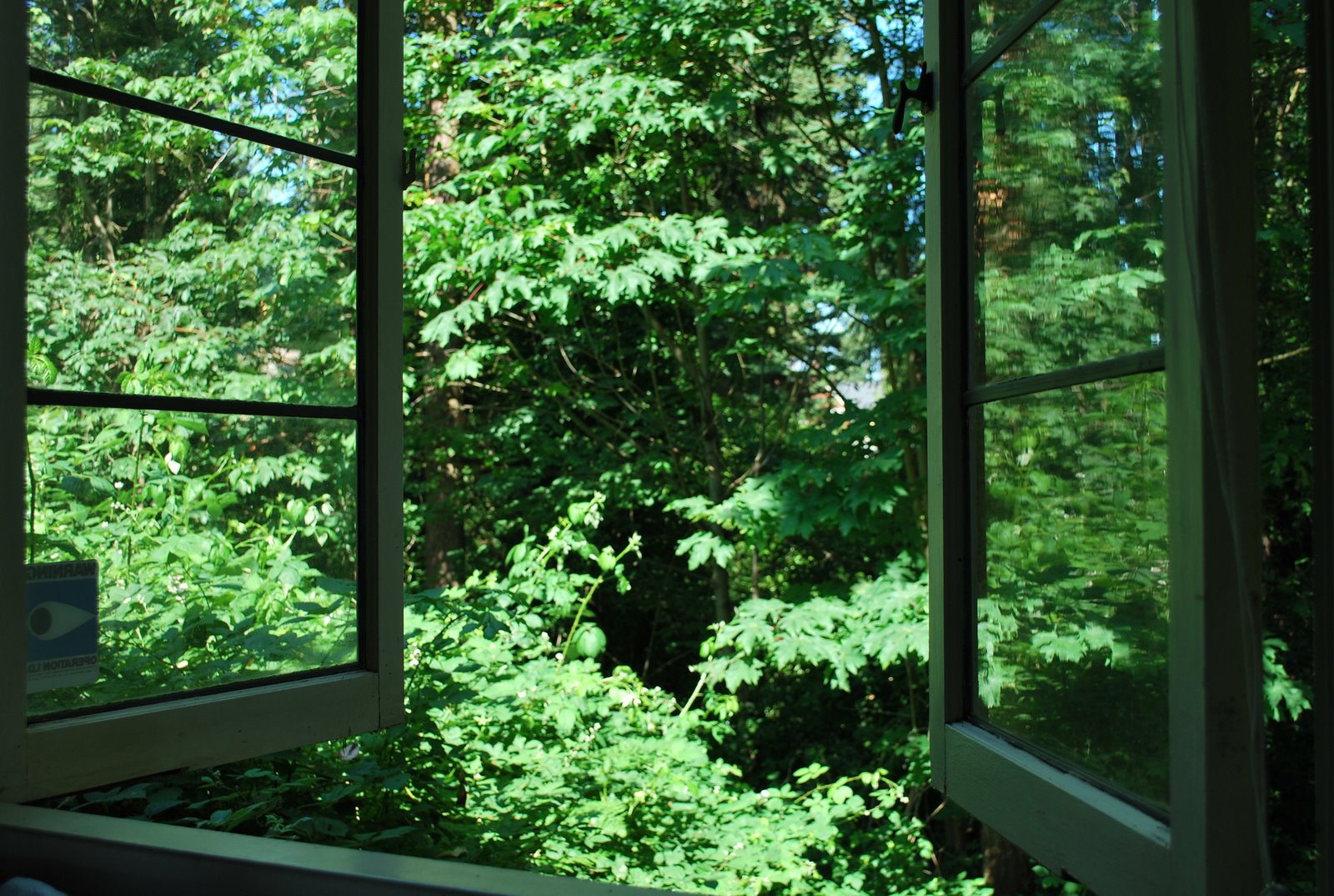 Jane Kenyon – O pretendente