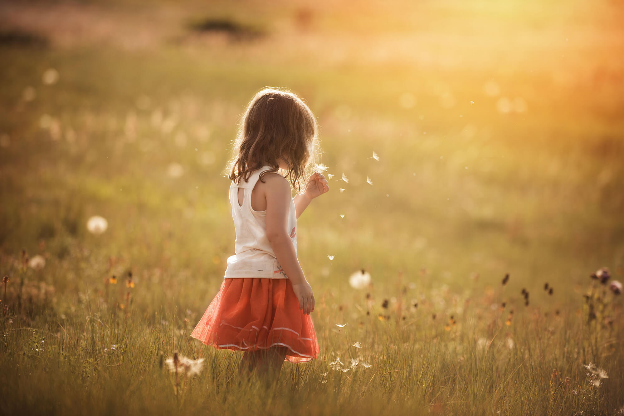 Ada Limón – O que eu quero lembrar