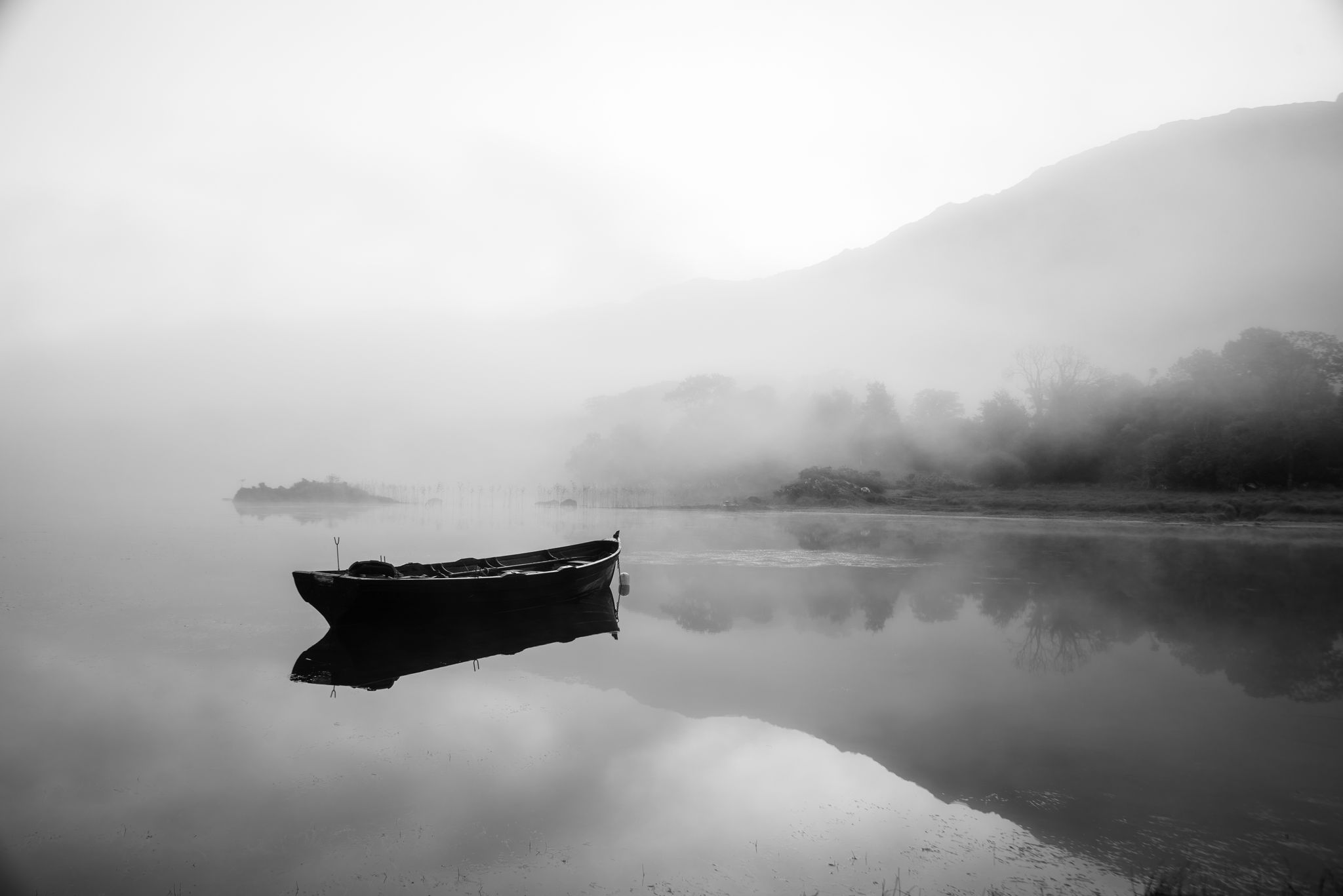 Margaret Atwood – Um barco