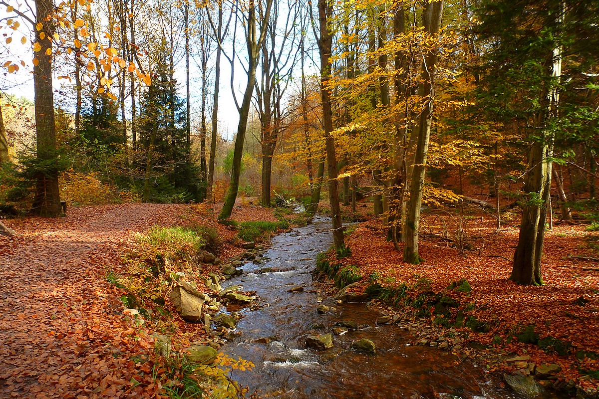 Dan Gerber – No final de setembro