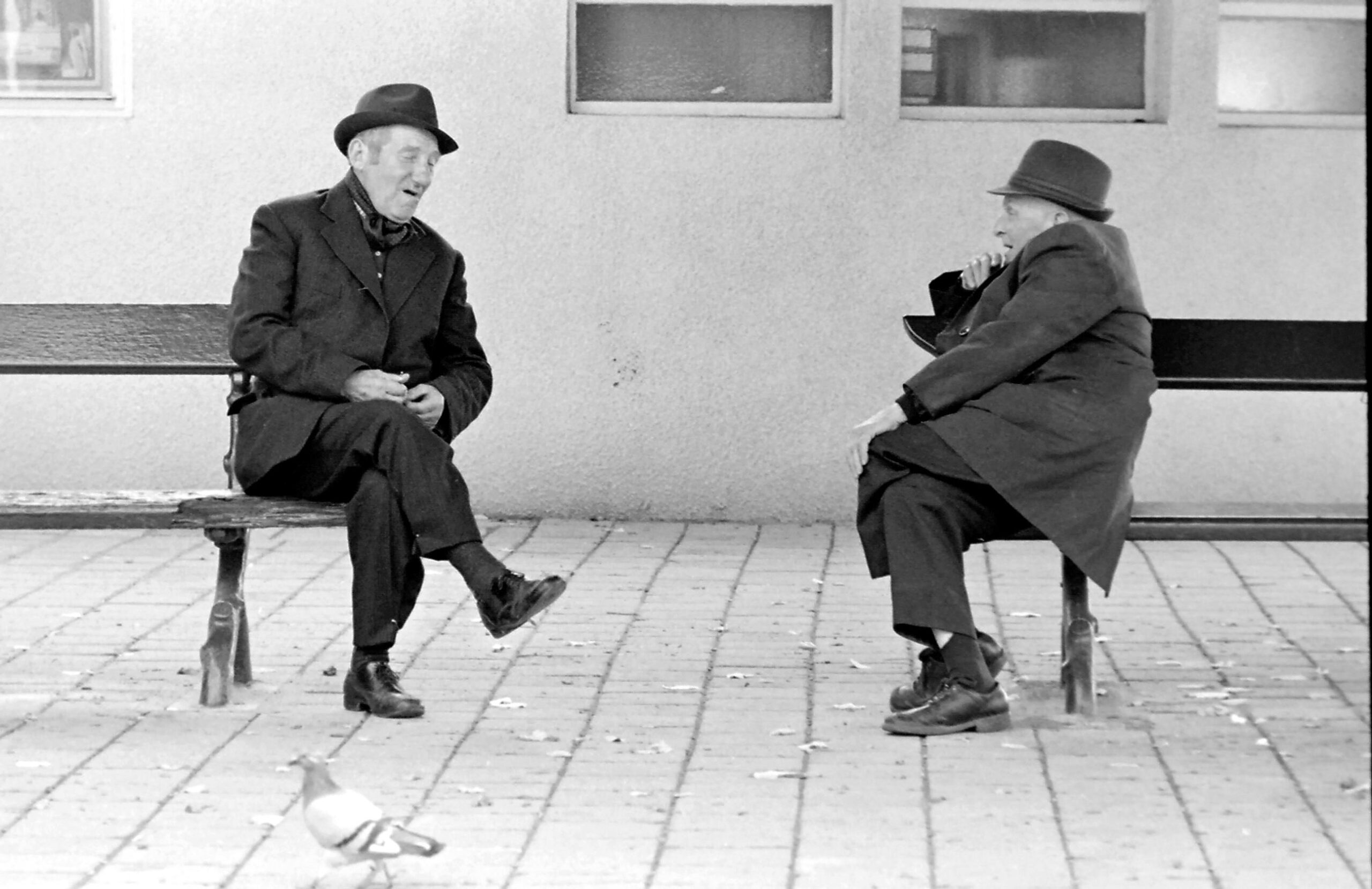 Joan Margarit – Cumprimentar-se