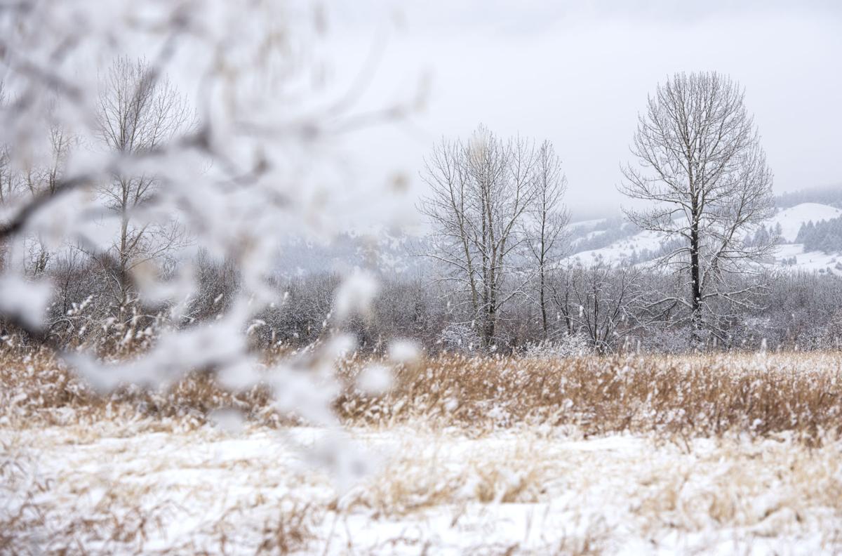 Gillian Clarke – Advento