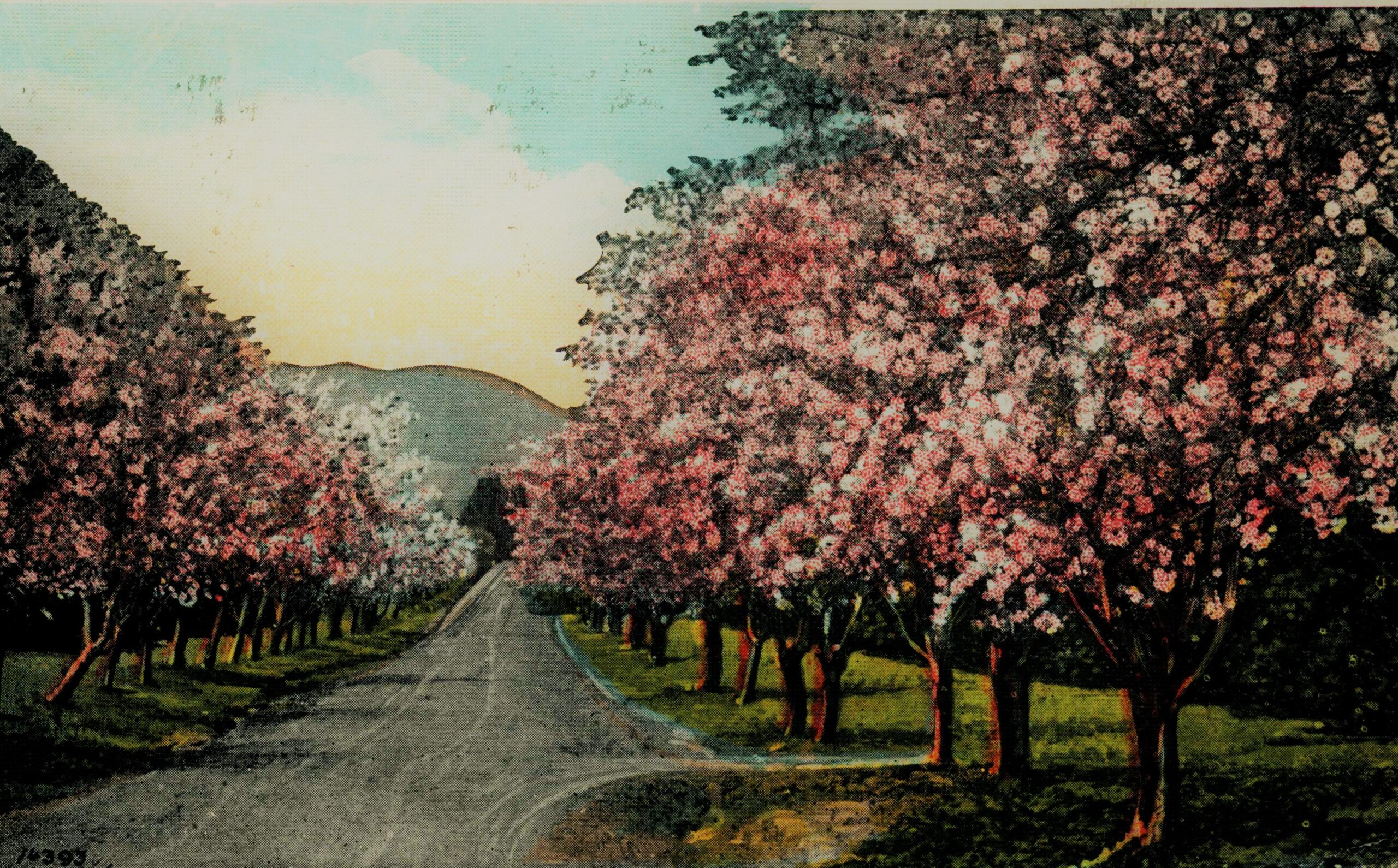 Ellen Bass – Tingindo o cabelo dela