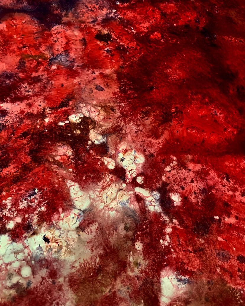 Ellen Bass – Matrimônio