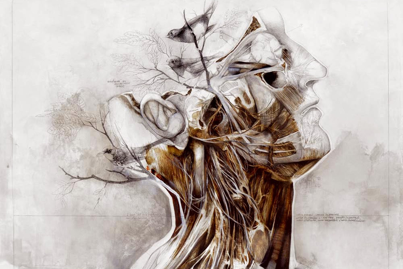 Nisha Atalie – Fazer/Não fazer