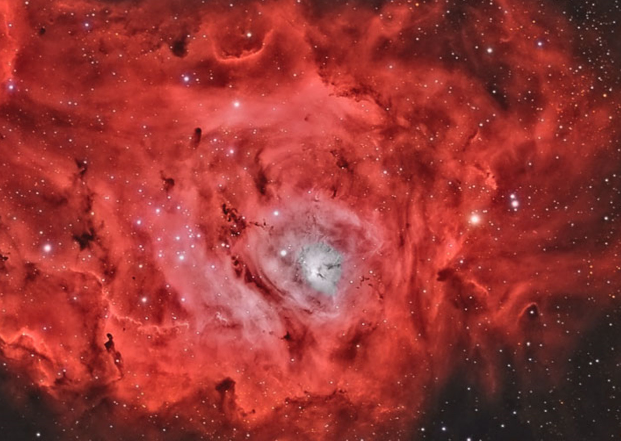 Nikita Gill – 93 por cento de poeira estelar