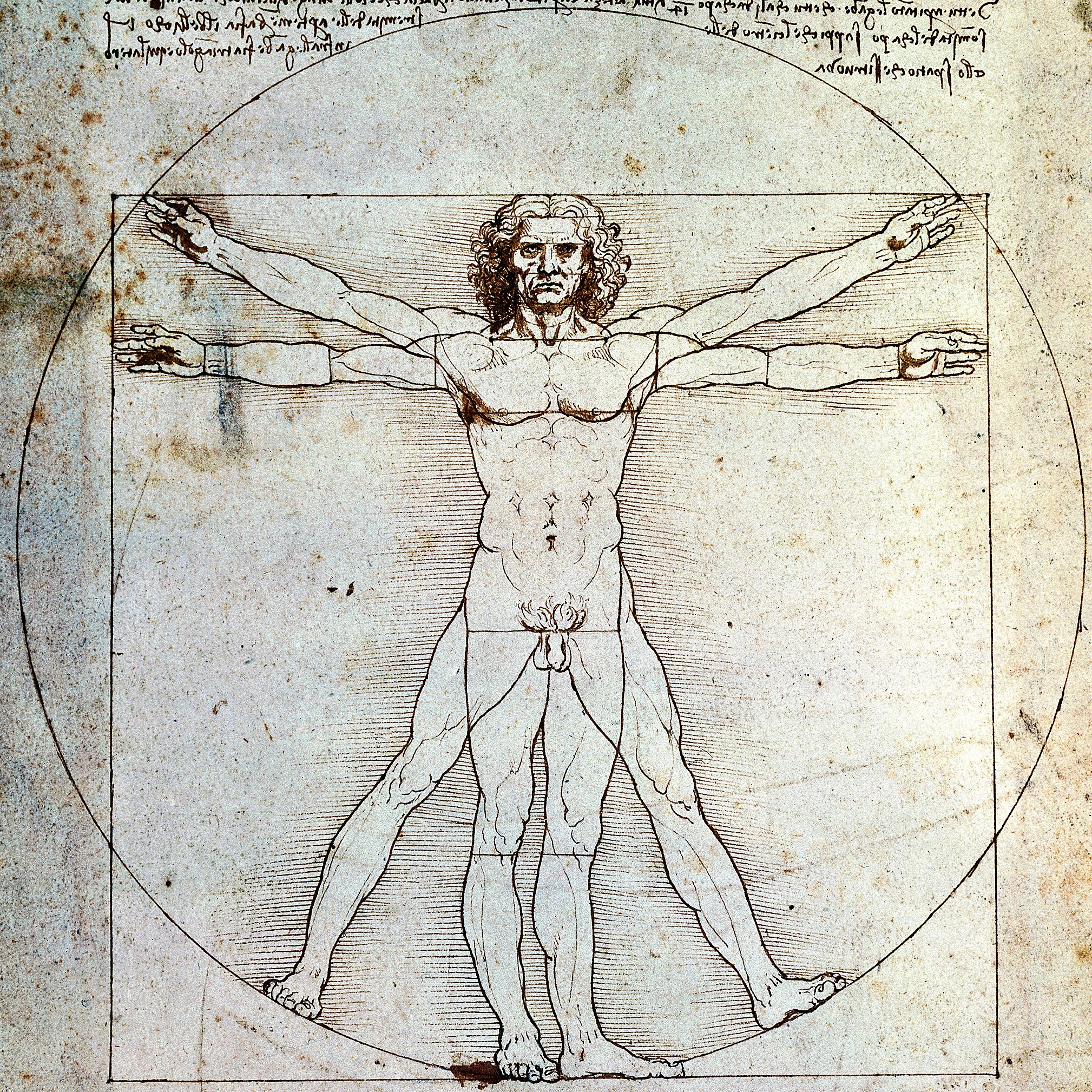 Joyce Sutphen – Vivendo no corpo