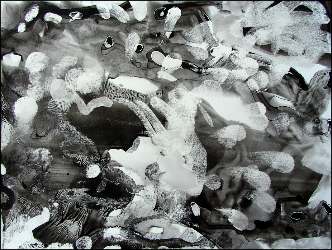 Paulo Henriques Britto – de “Oito sonetos entrópicos”