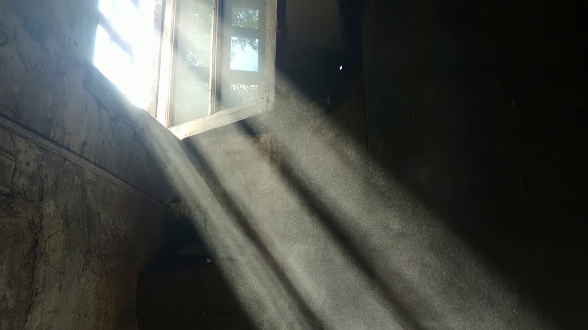 Ferreira Gullar – Manhã