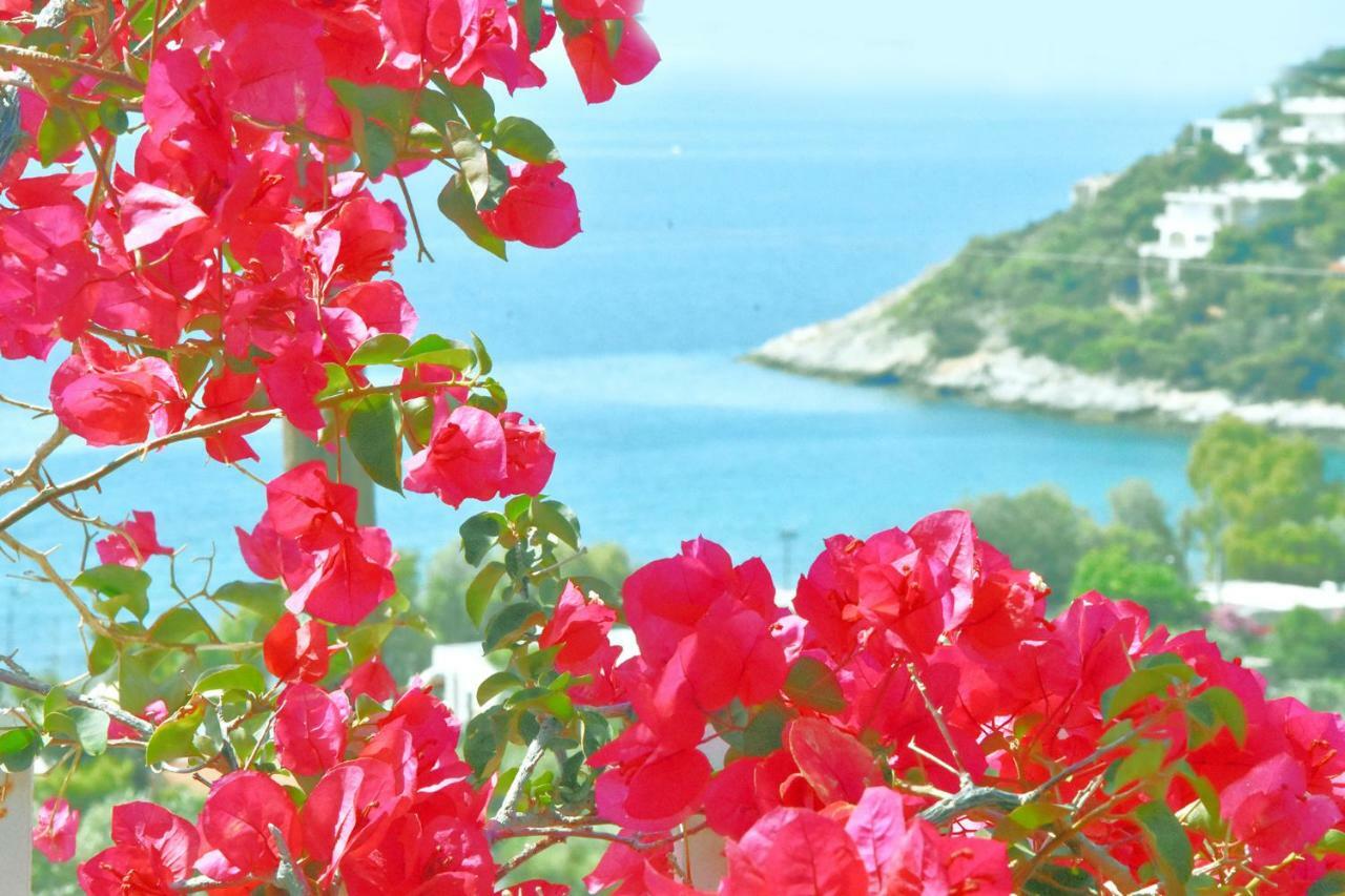 Jack Gilbert – Poemas e Elegias para Michiko Nogami: VII – Encontrando algo