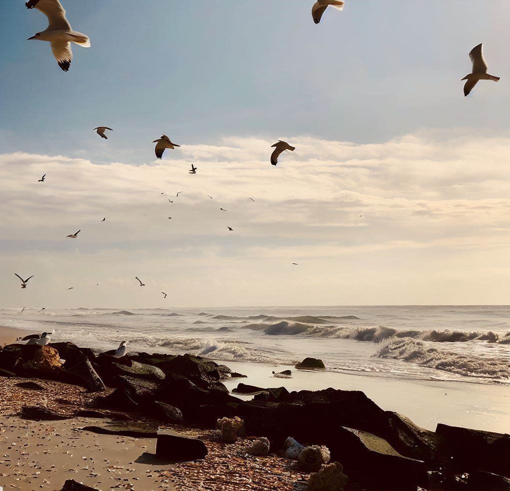 Mary Oliver – Quebra