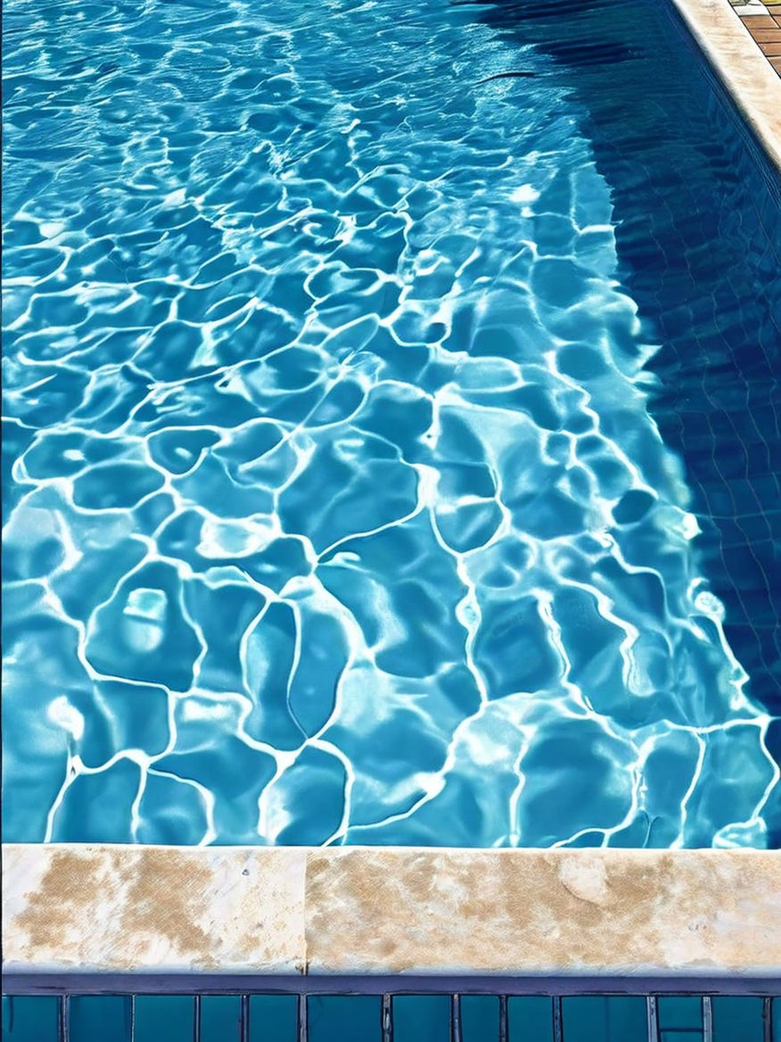 Paulo Henriques Britto – O aqualouco